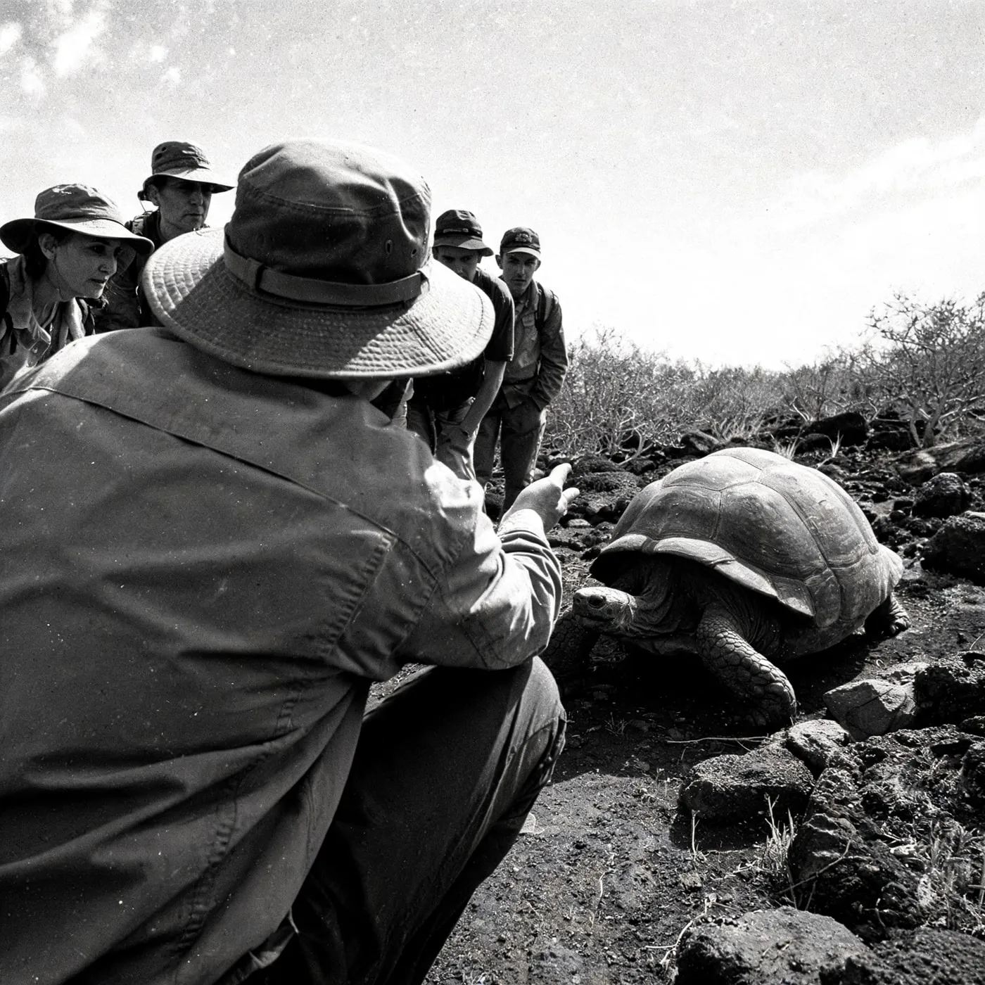 Guide introducing guests to a Galápagos giant tortoise, La Galapaguera, San Cristóbal