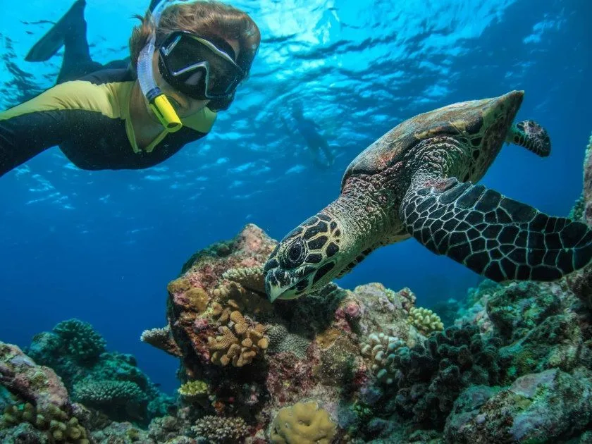 Snorkeler swimming alongside a green sea turtle over the reef, Kicker Rock, Galápagos